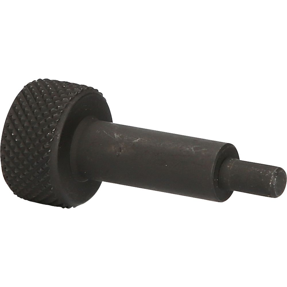 Stift für Nockenwellenmagnet, Bild 2