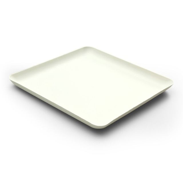 Teller Bagasse weiss 160 × 160 × 15 mm, Bild 2